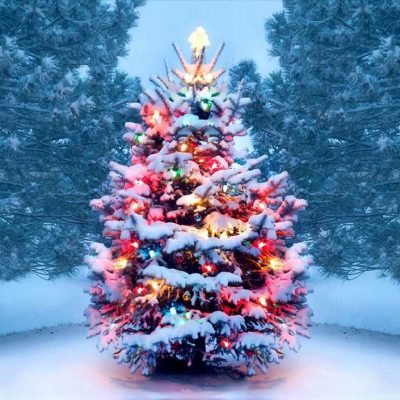 Get Ready For Christmas
