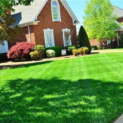 Get Your Landscape Ready for Winter 