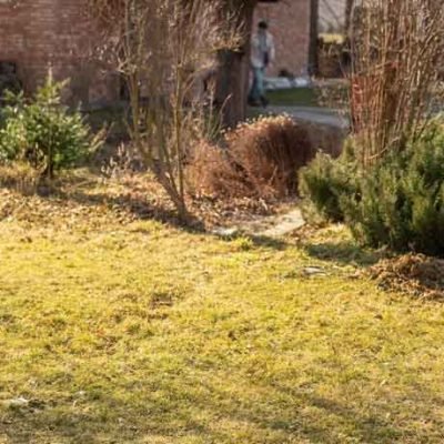 The Dos and Don'ts of Lawn Care for a Healthy and Vibrant Lawn in Nashville