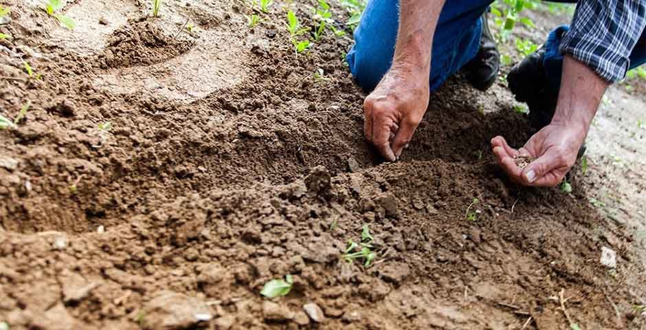 Why You Should Test Your Soil: The Importance of Soil Testing