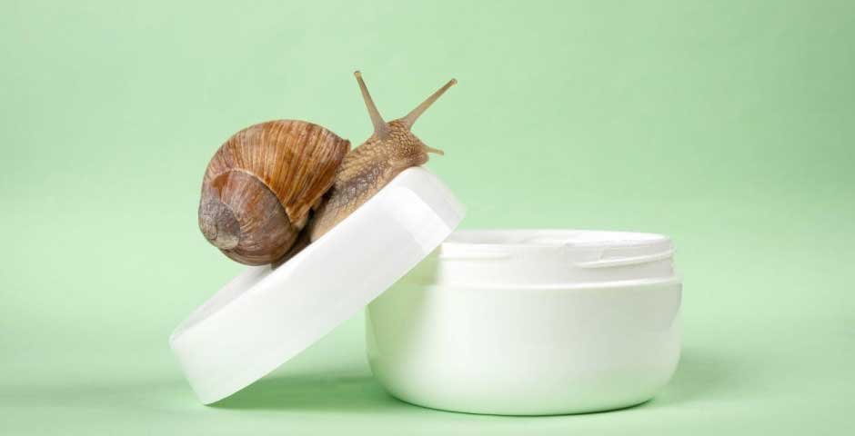 How-Does-Snail-Cream-Help-with-Anti-aging