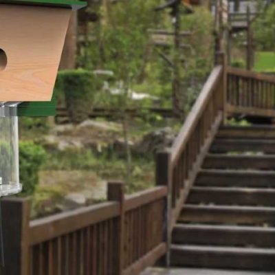 The-Best-Carpenter-Bee-Traps