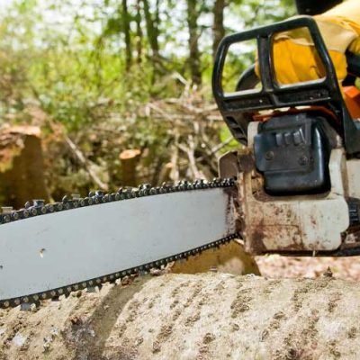 What Services Can You Expect from an Expert Brush Chipping Service