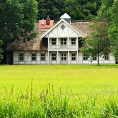 4-Budget-Garden-Ideas-to-Transform-Your-Outdoor-Space