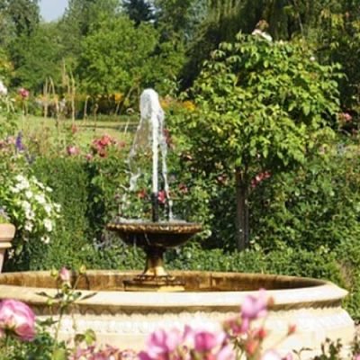 5-Expert-Tips-to-Keep-Mosquitoes-Away-From-Your-Outdoor-Water-Feature