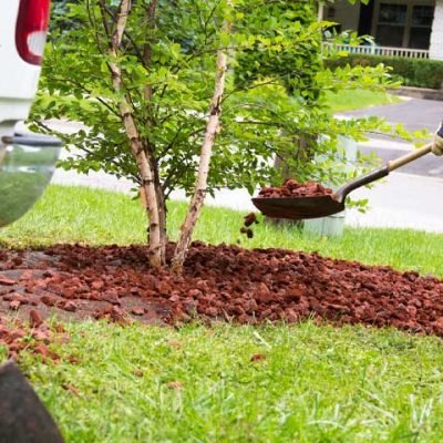 Exploring-Professional-Landscaping-Services-for-Businesses-What-You-Need-to-Know