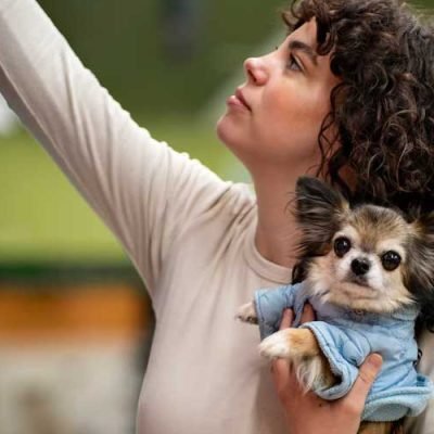 Navigating-the-Dog-Supplies-Market-in-New-Zealand