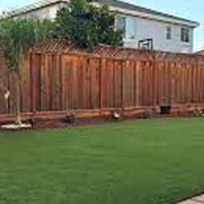 Transforming-Your-Lawn-How-Synthetic-Grass-Installation-Can-Revitalize-Your-Landscape