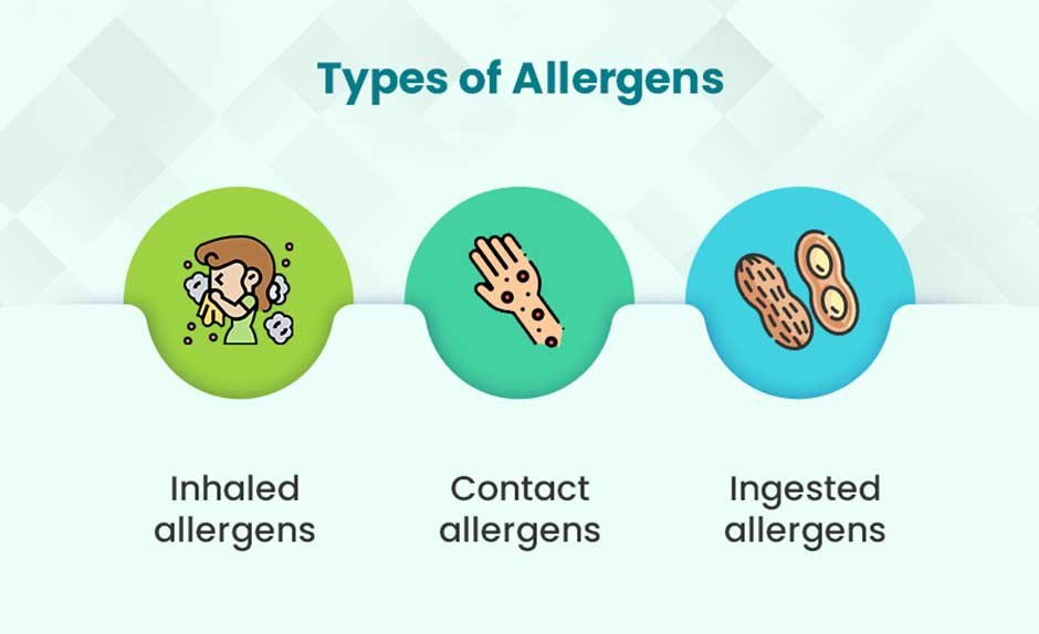 Types-of-Allergies