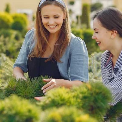 Why-Should-You-Visit-a-Garden-Center