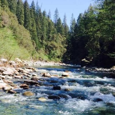 eedr-river