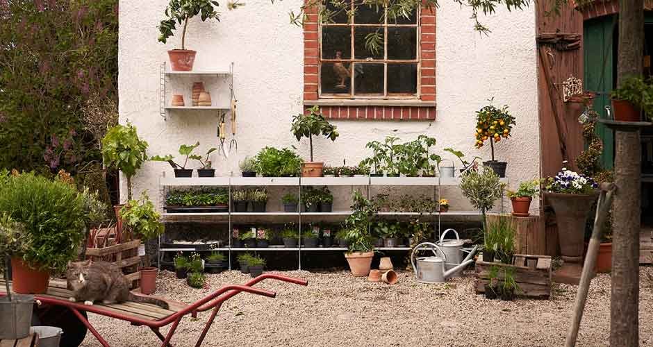 Top Tips To Help Meet Your Gardening Storage Needs