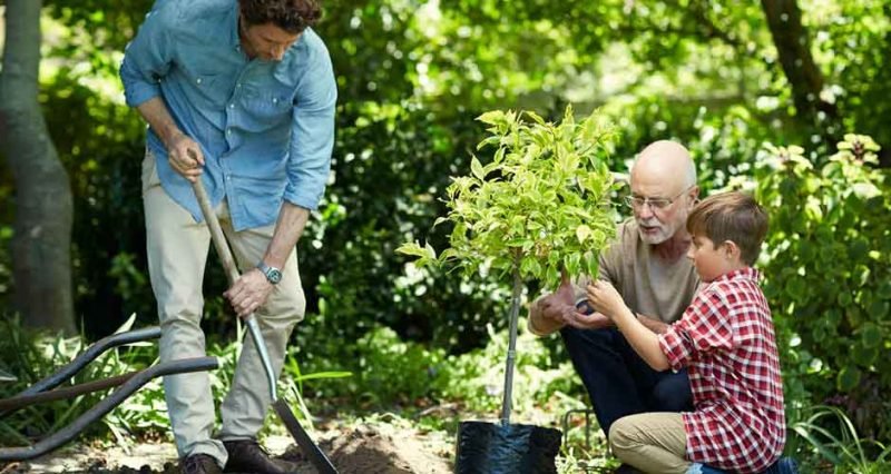 Why You Should Plant a Tree in Someone's Name - BrazenDenver
