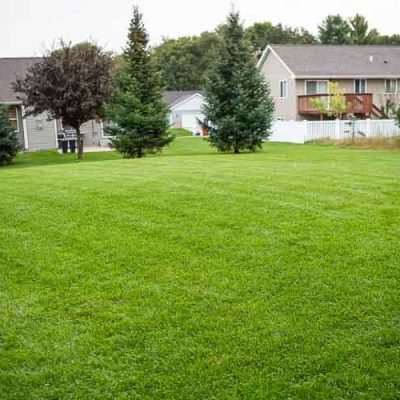 Setting Up a Yard Care Company in Eau Claire