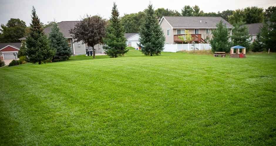 Setting Up a Yard Care Company in Eau Claire