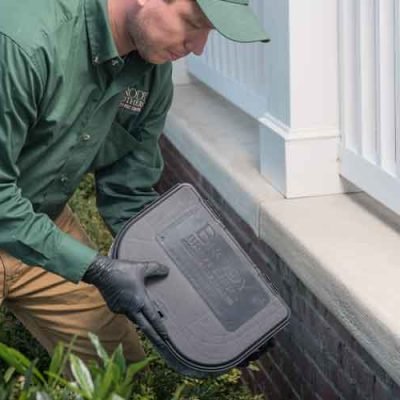 Why-Should-You-Consider-Professional-Pest-Control-in-Halifax
