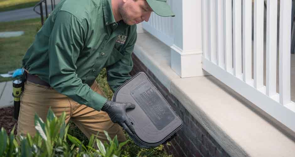 Why-Should-You-Consider-Professional-Pest-Control-in-Halifax