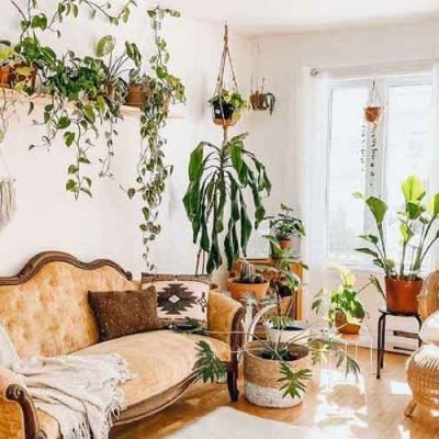 Crafting-Your-Ideal-Indoor-Oasis-with-AC-Installation