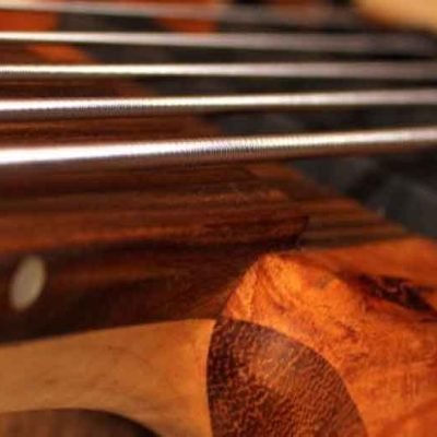 The Beauty of Vintage Basses