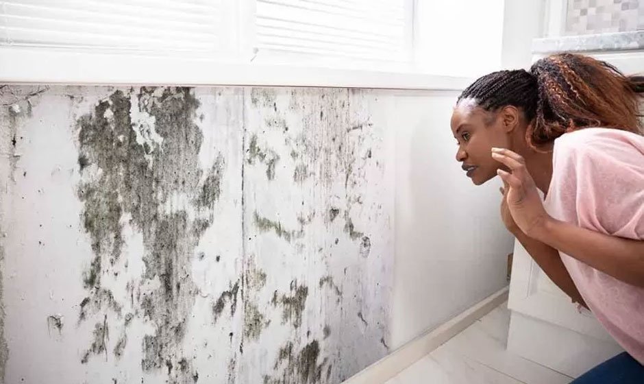 5 Practical Tips to Remove Mould from Your Home