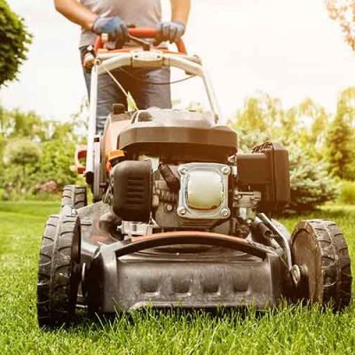 Learn to Trim Grass with a Lawn Mower
