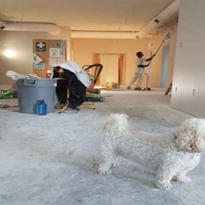 10-2024-Design-Trends-to-Consider-For-Your-Home-Remodel