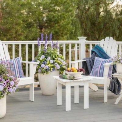 Aesthetic & Impact: How To Choose The Right Size Garden Pot