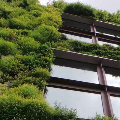 The-benefits-of-adding-greenery-to-any-commercial-business
