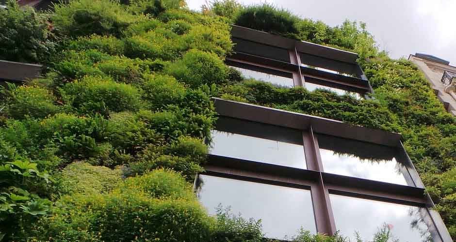 The-benefits-of-adding-greenery-to-any-commercial-business