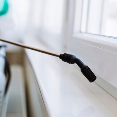 What-Should-You-Do-Before-A-Pest-Control-Treatment