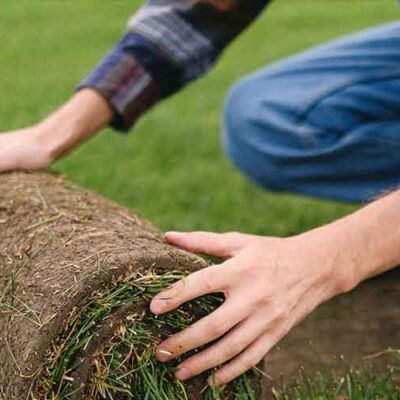 The-Importance-of-Quality-Sod-for-Your-Landscape-Project
