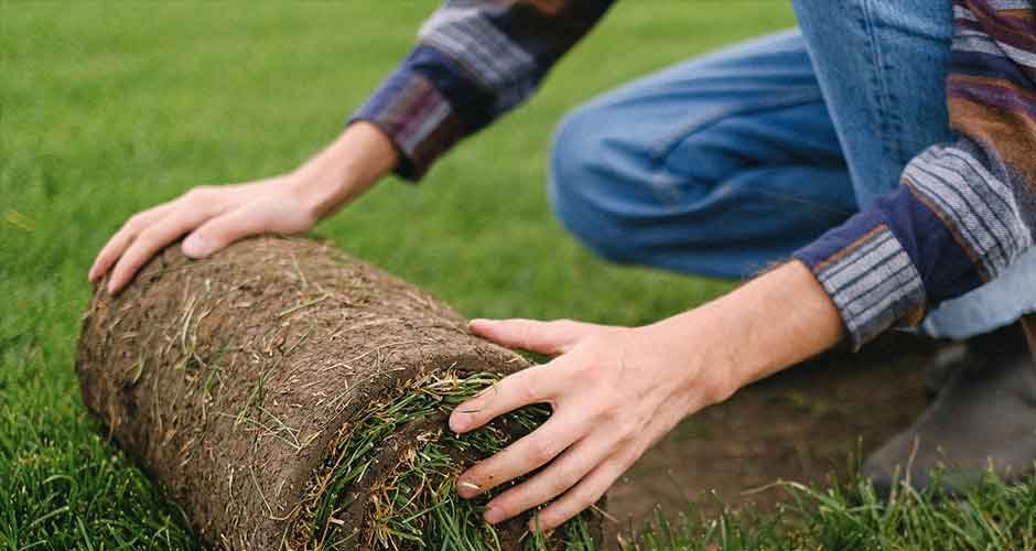 The-Importance-of-Quality-Sod-for-Your-Landscape-Project