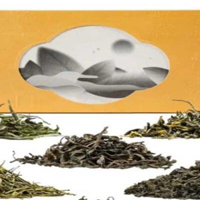 Nourishing-the-Body-and-Soul