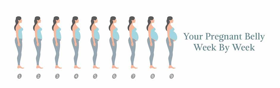 Your-Pregnant-Belly-Week-By-Week--What-To-Expect-1