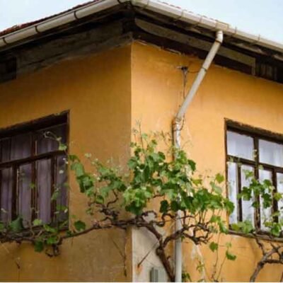 How-to-Protect-Your-Home-from-Water-Damage-Year-Round