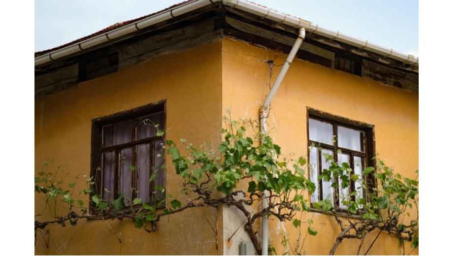 How-to-Protect-Your-Home-from-Water-Damage-Year-Round