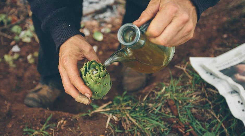 Starting Your First Garden: A Step-by-Step Guide