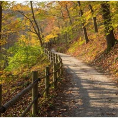 Where Adrenaline Meets Nature: Scenic Outdoor Thrills for Every Skill Level