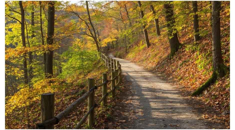 Where Adrenaline Meets Nature: Scenic Outdoor Thrills for Every Skill Level