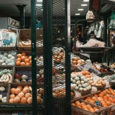 How Northfield Freezing Systems Are Revolutionizing the Cold Chain Industry