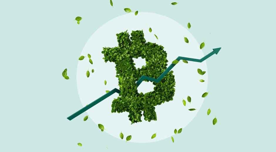 Exploring the Tax Benefits of a Cryptocurrency IRA
