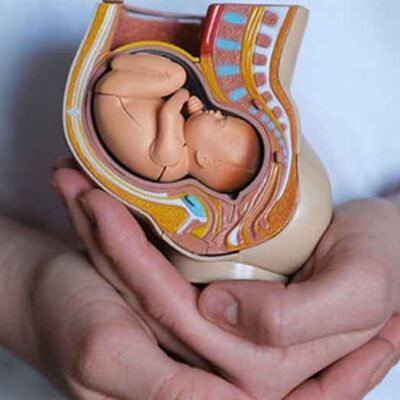 The-Benefits-of-Prenatal-Education-What-to-Learn-Before-Your-Baby-Arrives