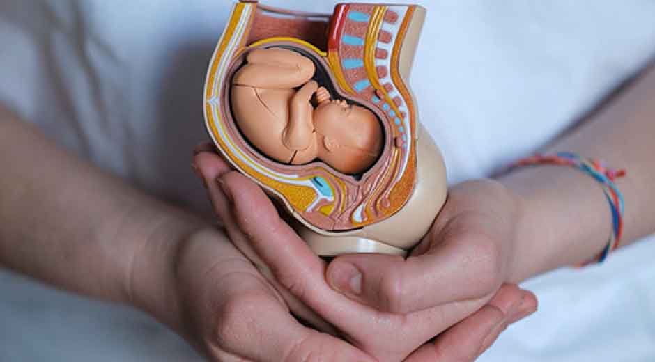 The-Benefits-of-Prenatal-Education-What-to-Learn-Before-Your-Baby-Arrives