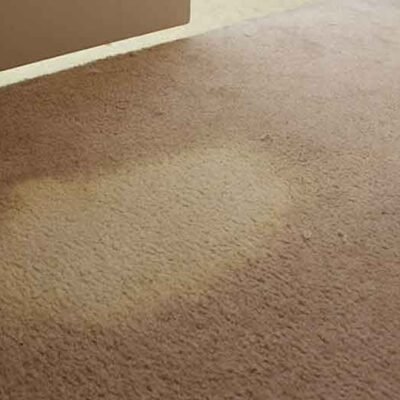 What Makes Certain Carpet Stains Permanent?