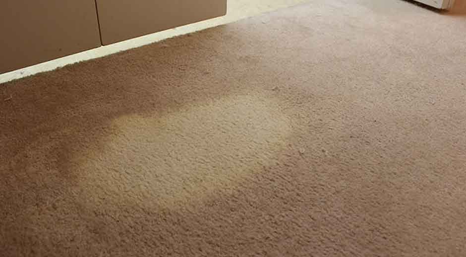 What Makes Certain Carpet Stains Permanent?