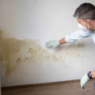 Mold Isn’t the Enemy—Moisture Is: A Smarter Home-Cleaning Manifesto