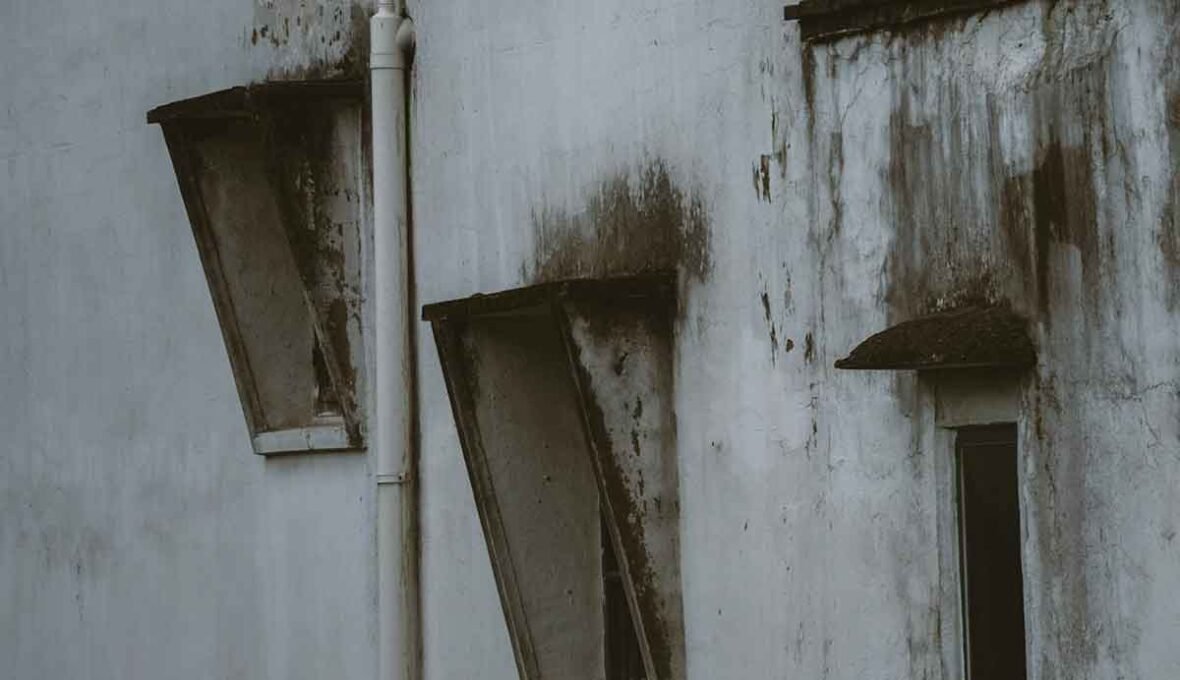 Why-You-Need-To-Act-Quickly-If-Your-House-Has-Mold-(1)