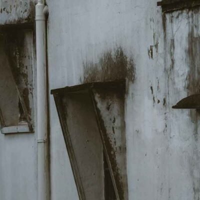 Why-You-Need-To-Act-Quickly-If-Your-House-Has-Mold-(1)